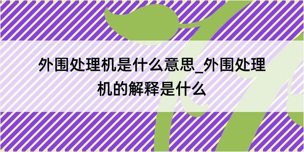 外围处理机是什么意思_外围处理机的解释是什么