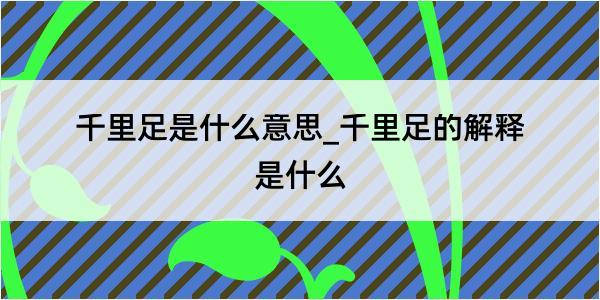 千里足是什么意思_千里足的解释是什么