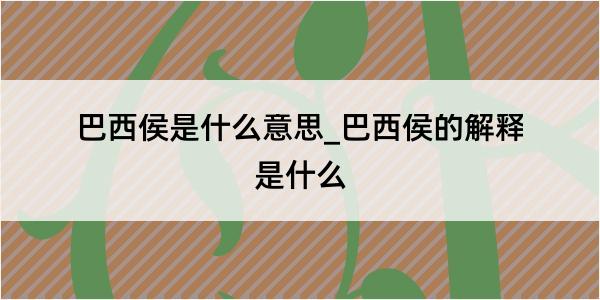 巴西侯是什么意思_巴西侯的解释是什么