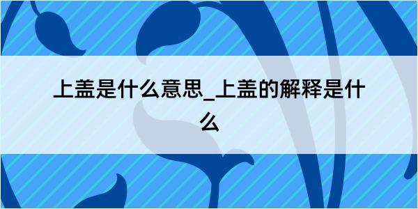 上盖是什么意思_上盖的解释是什么