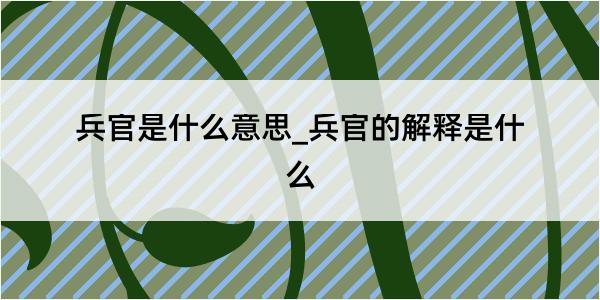 兵官是什么意思_兵官的解释是什么