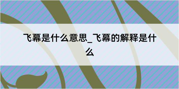 飞幕是什么意思_飞幕的解释是什么