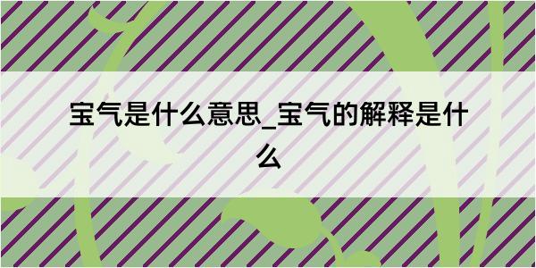 宝气是什么意思_宝气的解释是什么