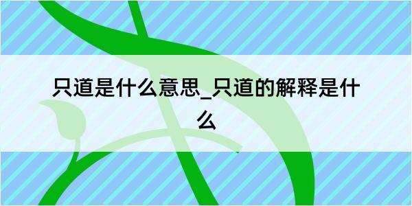 只道是什么意思_只道的解释是什么