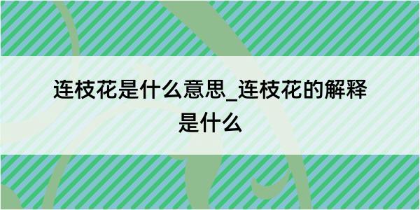 连枝花是什么意思_连枝花的解释是什么