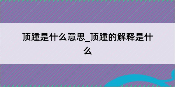 顶踵是什么意思_顶踵的解释是什么