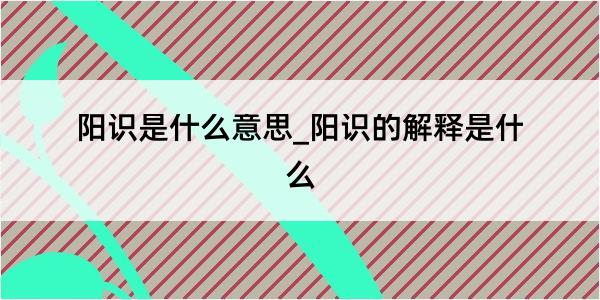 阳识是什么意思_阳识的解释是什么