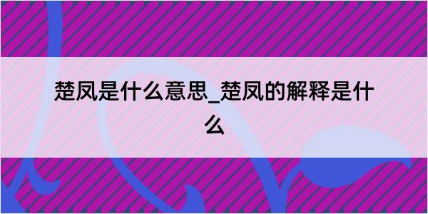 楚凤是什么意思_楚凤的解释是什么