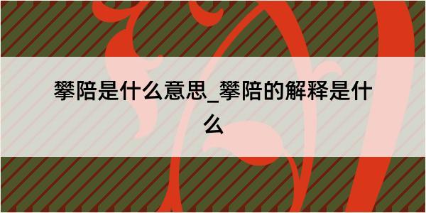 攀陪是什么意思_攀陪的解释是什么