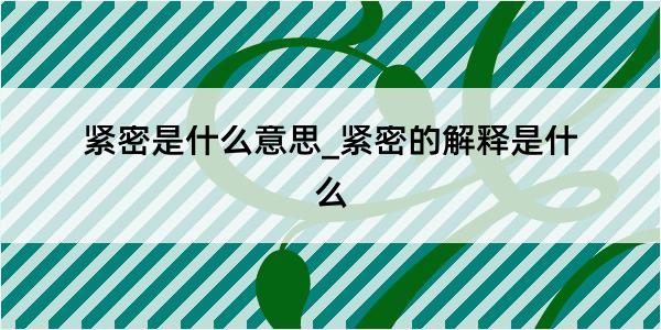 紧密是什么意思_紧密的解释是什么