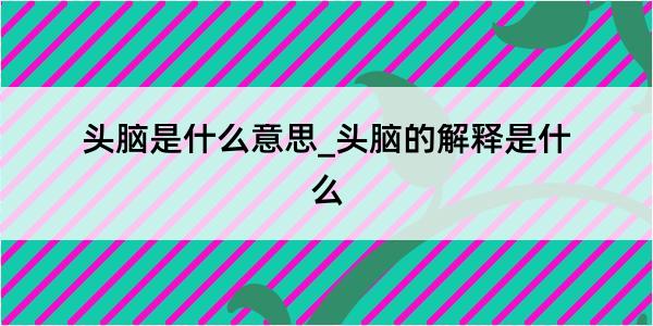 头脑是什么意思_头脑的解释是什么