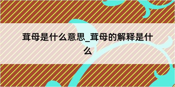 茸母是什么意思_茸母的解释是什么