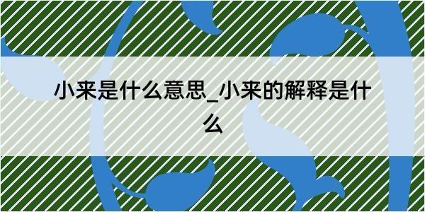 小来是什么意思_小来的解释是什么