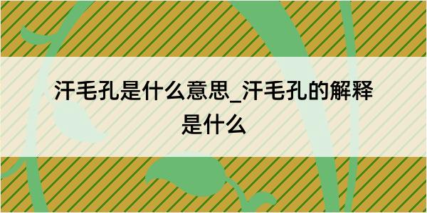 汗毛孔是什么意思_汗毛孔的解释是什么