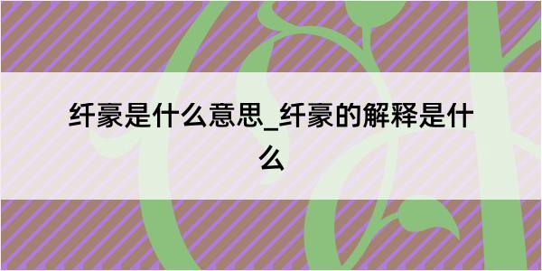 纤豪是什么意思_纤豪的解释是什么