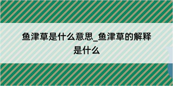 鱼津草是什么意思_鱼津草的解释是什么