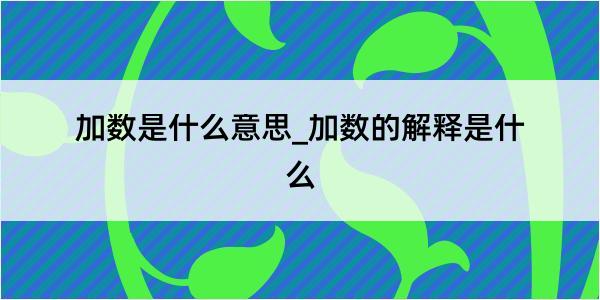 加数是什么意思_加数的解释是什么