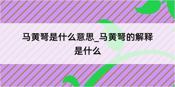 马黄弩是什么意思_马黄弩的解释是什么