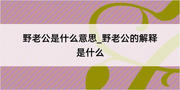 野老公是什么意思_野老公的解释是什么