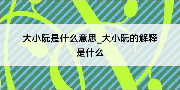 大小阮是什么意思_大小阮的解释是什么