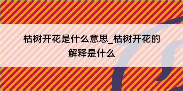 枯树开花是什么意思_枯树开花的解释是什么