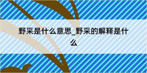 野采是什么意思_野采的解释是什么