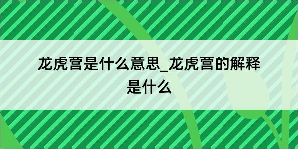 龙虎营是什么意思_龙虎营的解释是什么