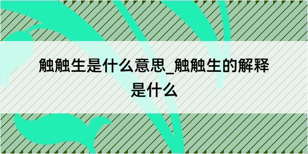 触触生是什么意思_触触生的解释是什么