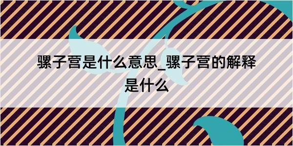 骡子营是什么意思_骡子营的解释是什么