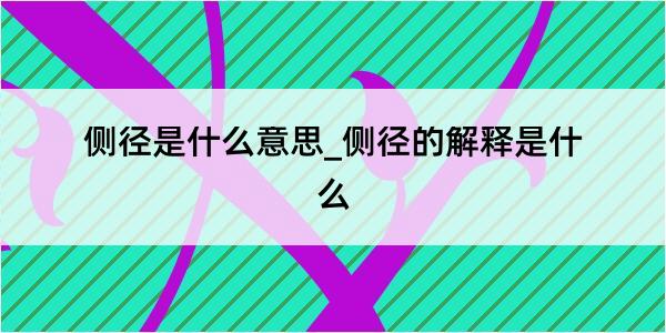 侧径是什么意思_侧径的解释是什么