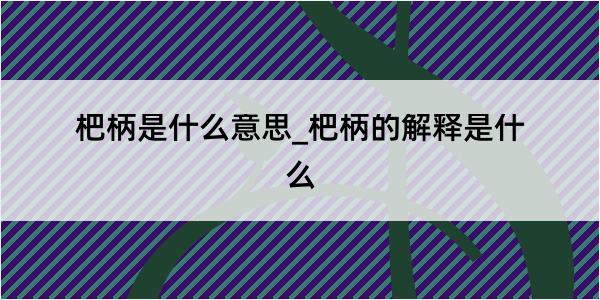 杷柄是什么意思_杷柄的解释是什么