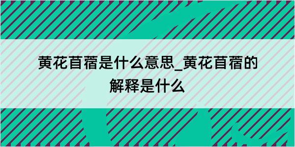 黄花苜蓿是什么意思_黄花苜蓿的解释是什么