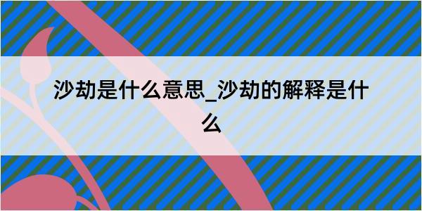 沙劫是什么意思_沙劫的解释是什么