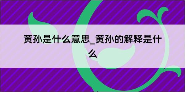 黄孙是什么意思_黄孙的解释是什么