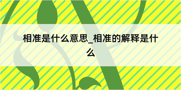 相准是什么意思_相准的解释是什么