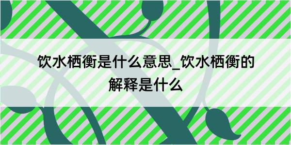 饮水栖衡是什么意思_饮水栖衡的解释是什么