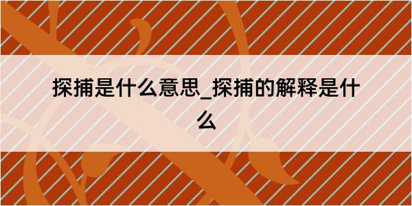 探捕是什么意思_探捕的解释是什么