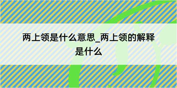 两上领是什么意思_两上领的解释是什么