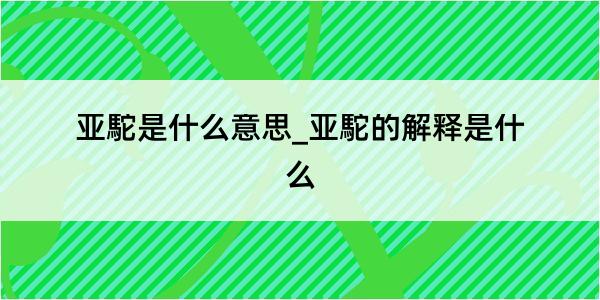 亚駝是什么意思_亚駝的解释是什么