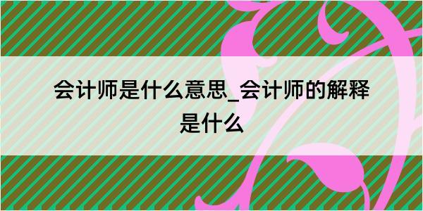 会计师是什么意思_会计师的解释是什么