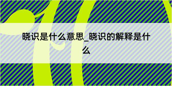 晓识是什么意思_晓识的解释是什么