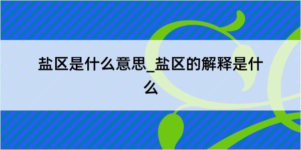 盐区是什么意思_盐区的解释是什么