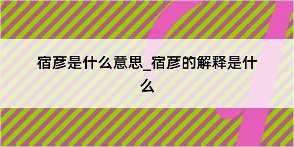 宿彦是什么意思_宿彦的解释是什么