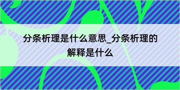 分条析理是什么意思_分条析理的解释是什么