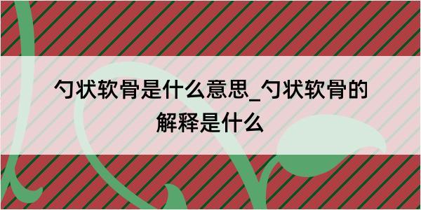 勺状软骨是什么意思_勺状软骨的解释是什么