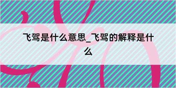 飞驾是什么意思_飞驾的解释是什么