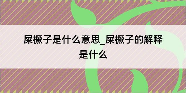 屎橛子是什么意思_屎橛子的解释是什么