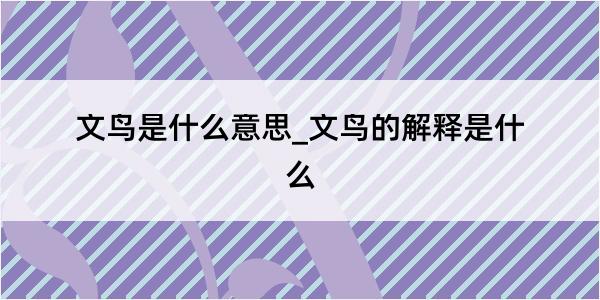 文鸟是什么意思_文鸟的解释是什么