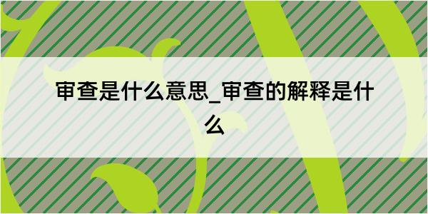 审查是什么意思_审查的解释是什么