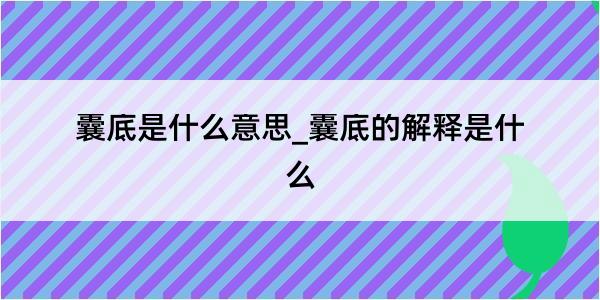 囊底是什么意思_囊底的解释是什么